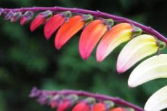 Rumänien von rechts  MINOLTA DIGITAL CAMERA